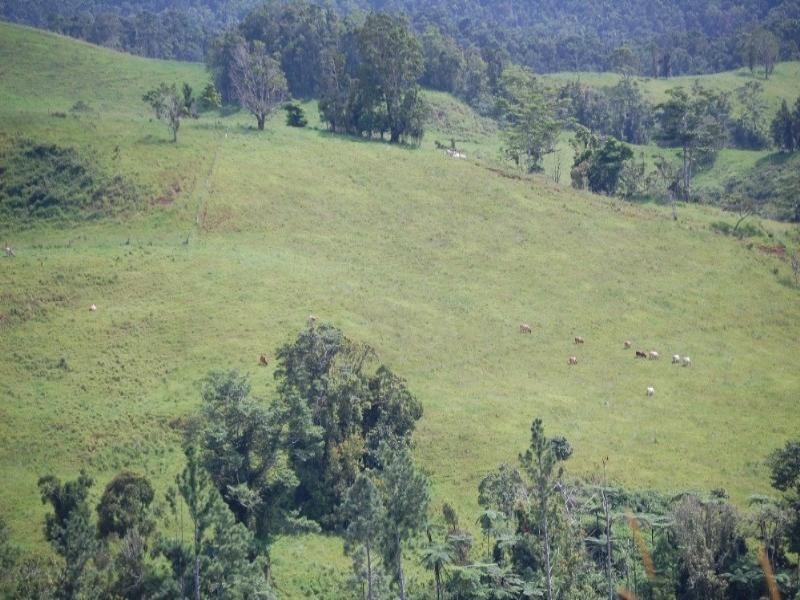 Millaa Millaa QLD 4886