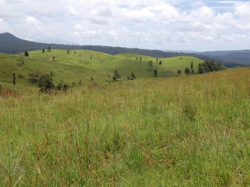 Millaa Millaa QLD 4886