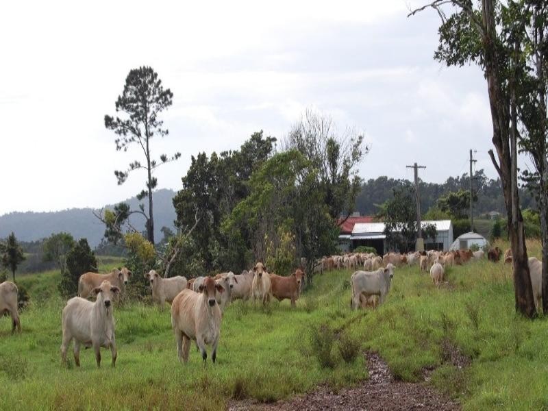 Millaa Millaa QLD 4886