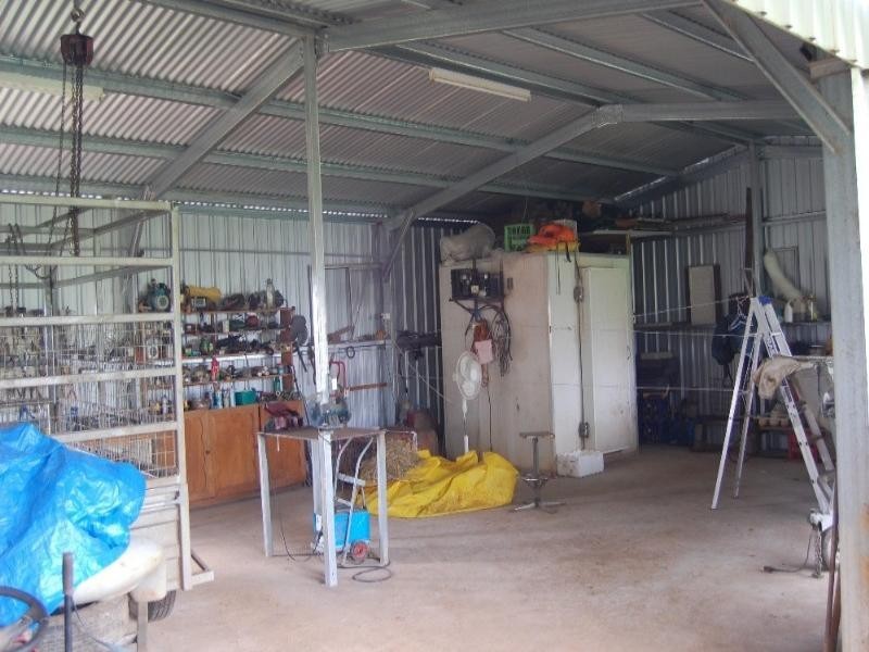 Millaa Millaa QLD 4886