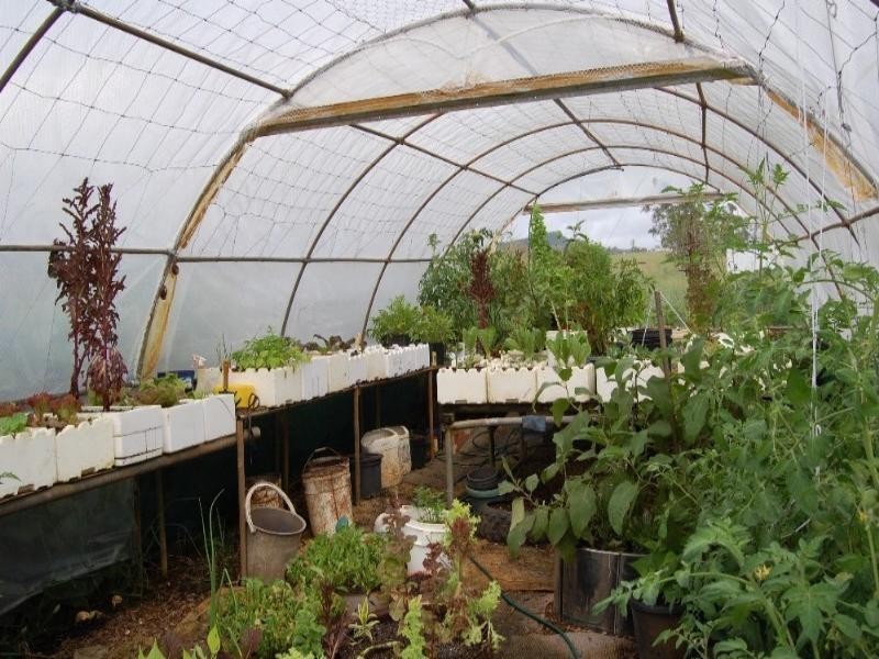 Millaa Millaa QLD 4886