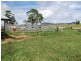 Millaa Millaa QLD 4886
