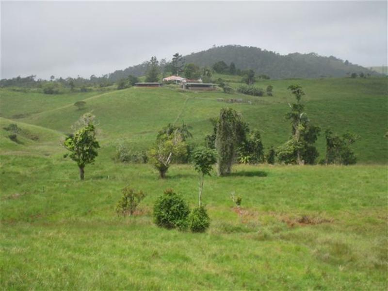 Tarzali QLD 4885
