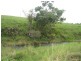 Tarzali QLD 4885