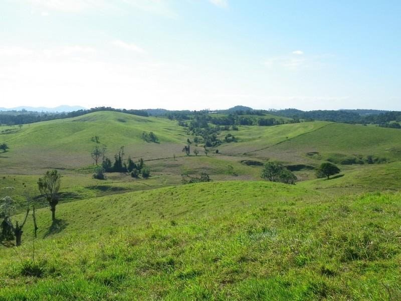 Tarzali QLD 4885