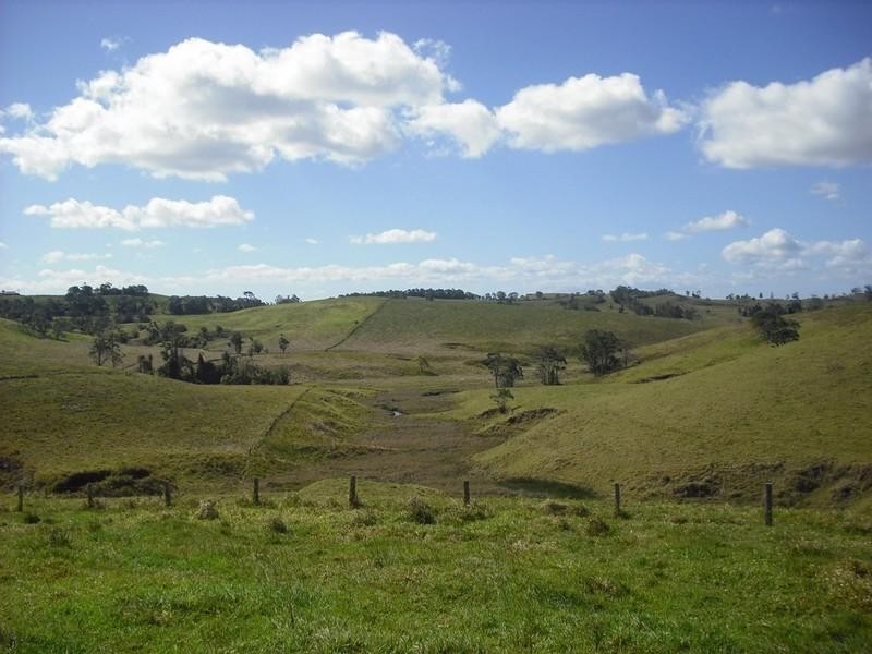 Tarzali QLD 4885