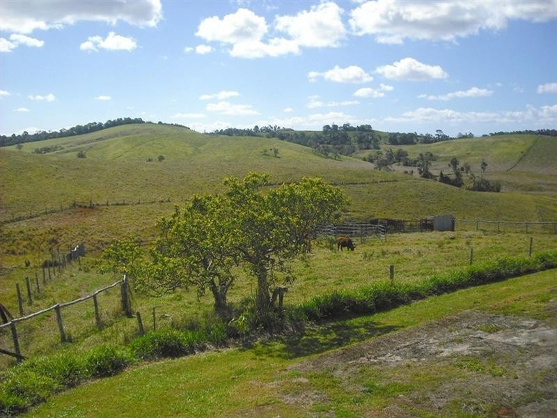 Tarzali QLD 4885