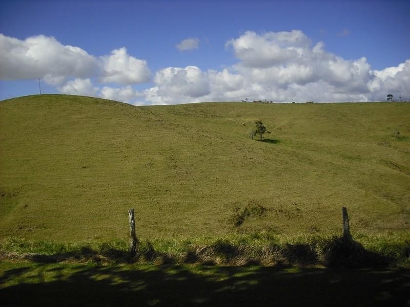 Tarzali QLD 4885