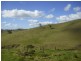 Tarzali QLD 4885