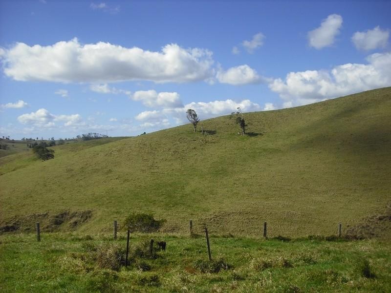 Tarzali QLD 4885