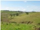 Tarzali QLD 4885
