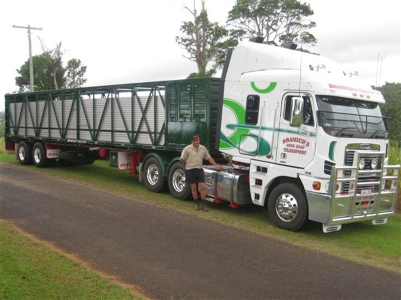 Tarzali QLD 4885