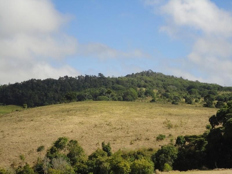 Peeramon QLD 4885