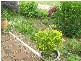 Tolga QLD 4882