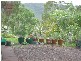 Tolga QLD 4882