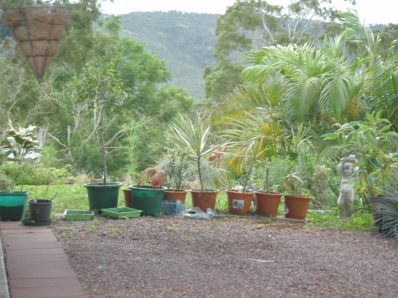 Tolga QLD 4882