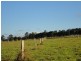 Tinaroo QLD 4872