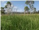 Mourilyan QLD 4858