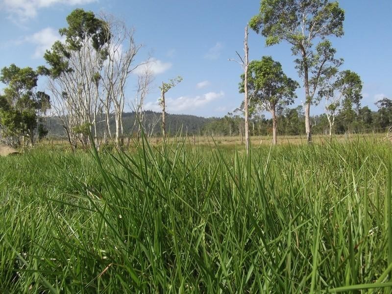 Mourilyan QLD 4858