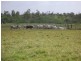 Mourilyan QLD 4858
