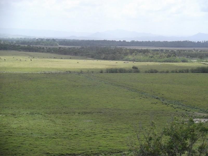 Mourilyan QLD 4858