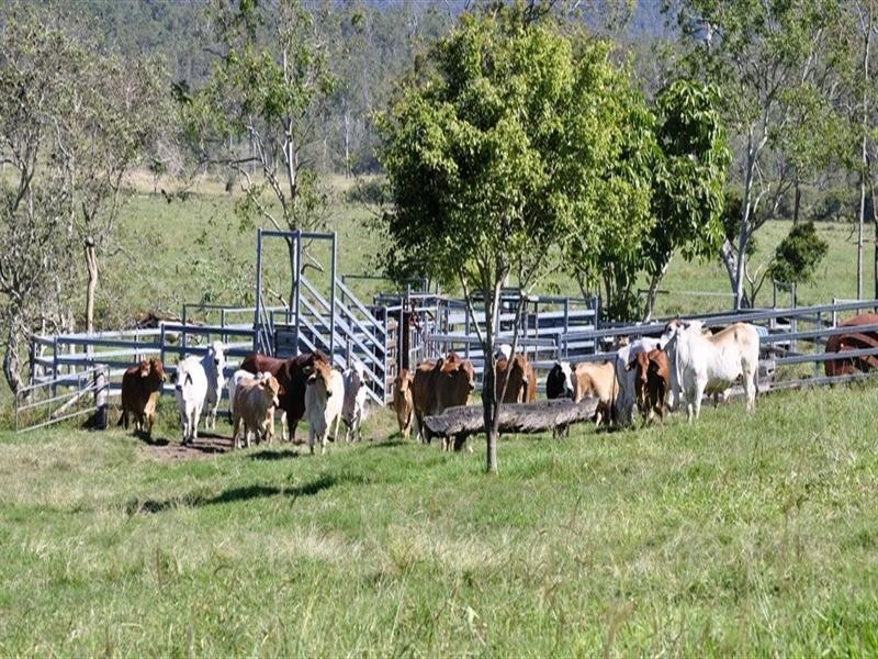 Atherton QLD 4883