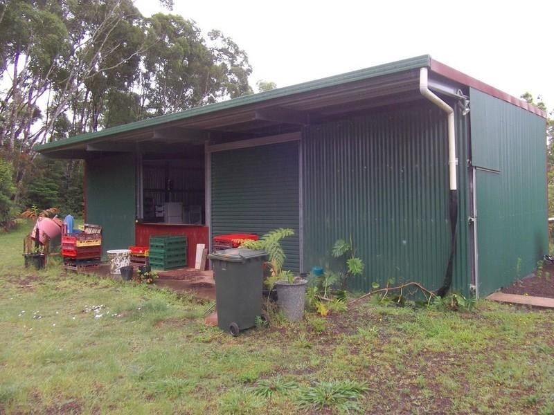 Lake Eacham QLD 4884