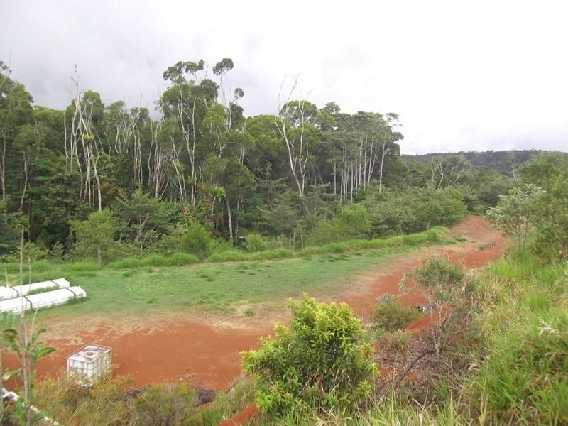 Lake Eacham QLD 4884