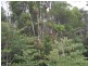 Lake Eacham QLD 4884