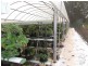 Lake Eacham QLD 4884