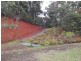 Lake Eacham QLD 4884