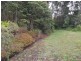 Lake Eacham QLD 4884