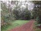 Lake Eacham QLD 4884