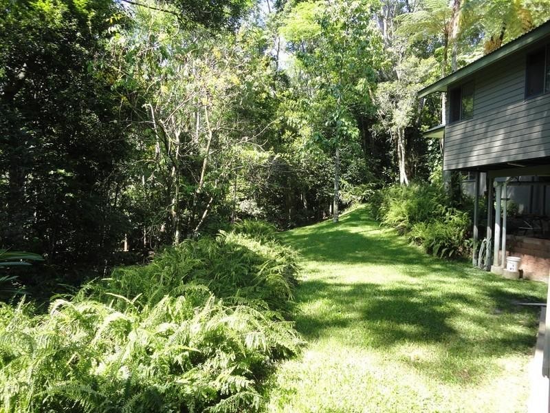 Lake Eacham QLD 4884