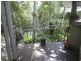 Lake Eacham QLD 4884