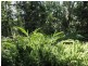 Lake Eacham QLD 4884