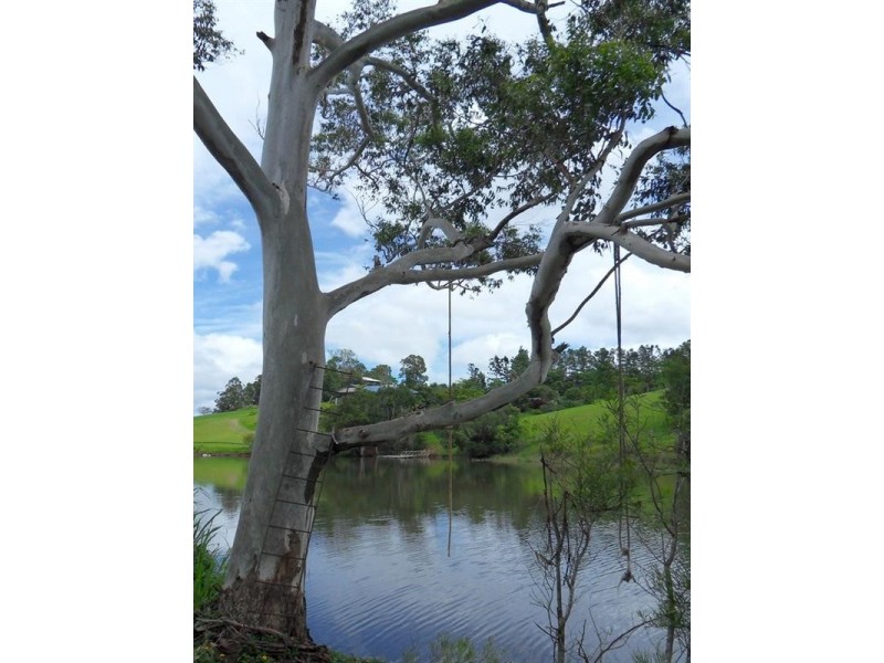 Yungaburra QLD 4884