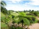 Jaggan QLD 4885