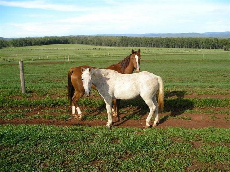 Wondecla QLD 4887