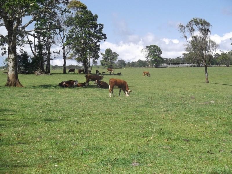 Malanda QLD 4885
