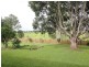 Yungaburra QLD 4884
