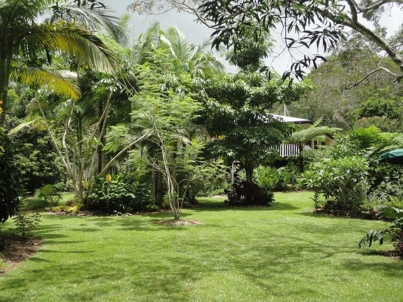 Lake Eacham QLD 4884