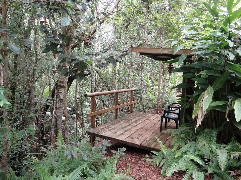 Lake Eacham QLD 4884