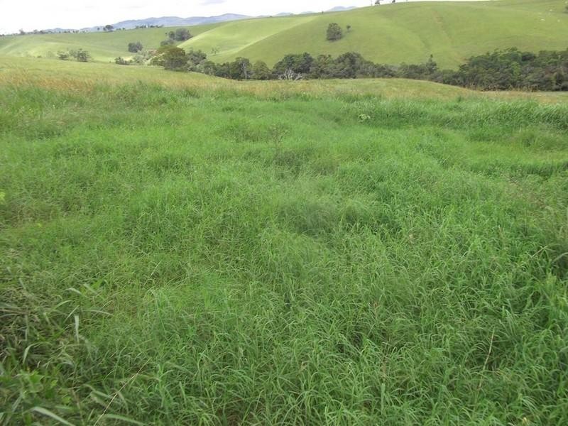 Malanda QLD 4885