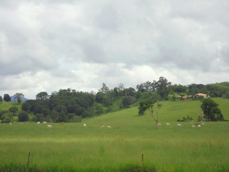 Yungaburra QLD 4884