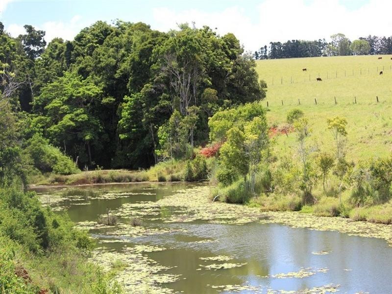 Tinaroo QLD 4872