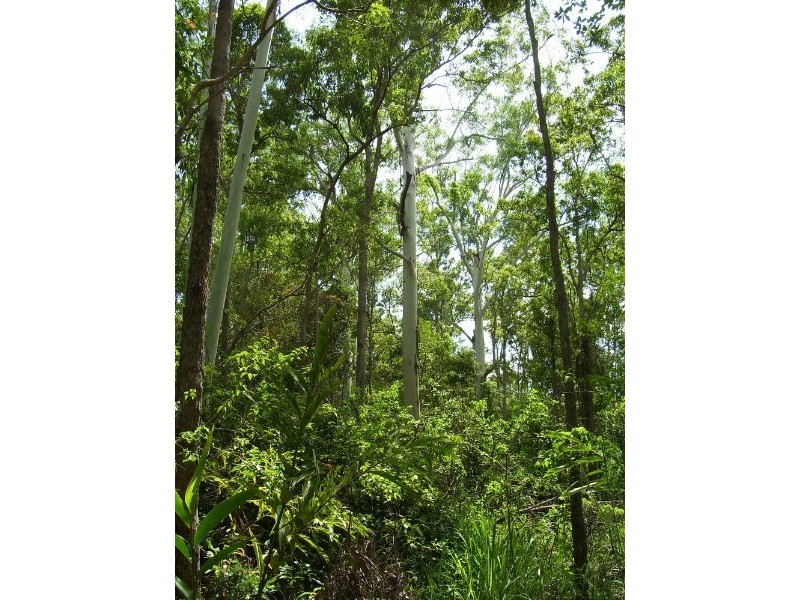 Upper Barron QLD 4883