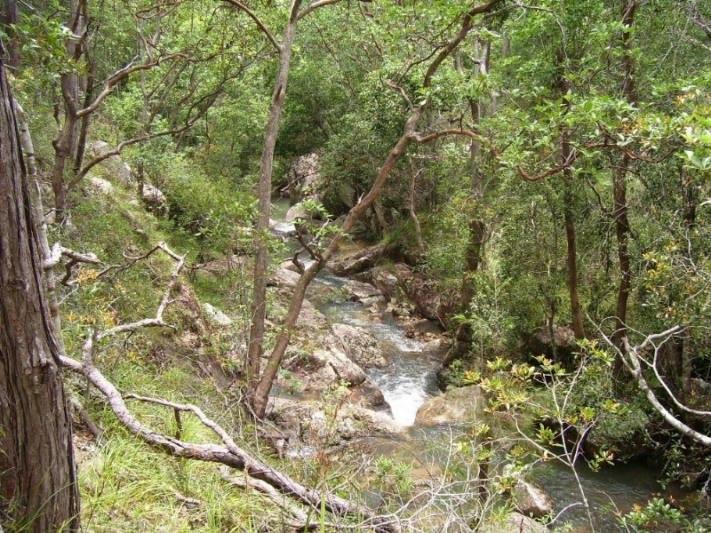 Upper Barron QLD 4883