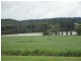 Yungaburra QLD 4884