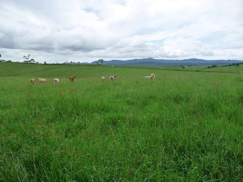 Lot 3 Lloyd Road, Yungaburra QLD 4884